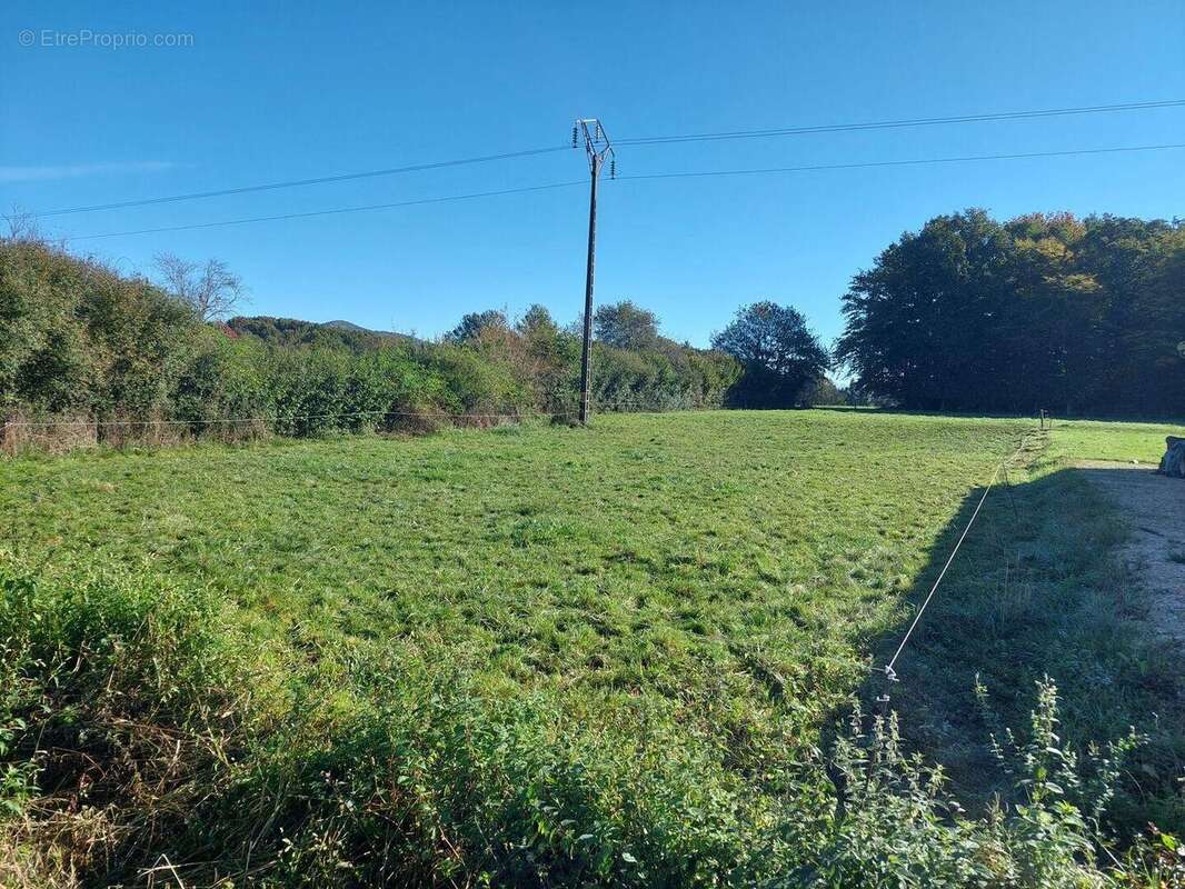 20241024113347 - Terrain à SALIES-DU-SALAT