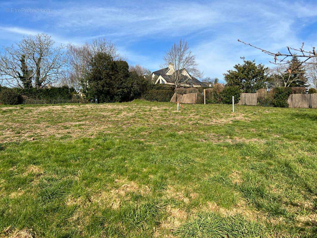 Baden - Une belle parcelle de 431 m² pour imaginer votre maison au coeur du Golfe du Morbihan - photo 5