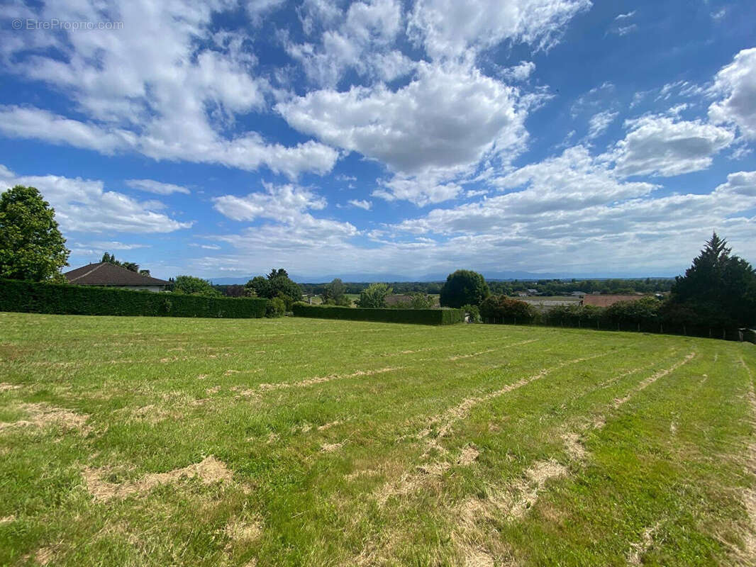 Terrain à SERRES-CASTET
