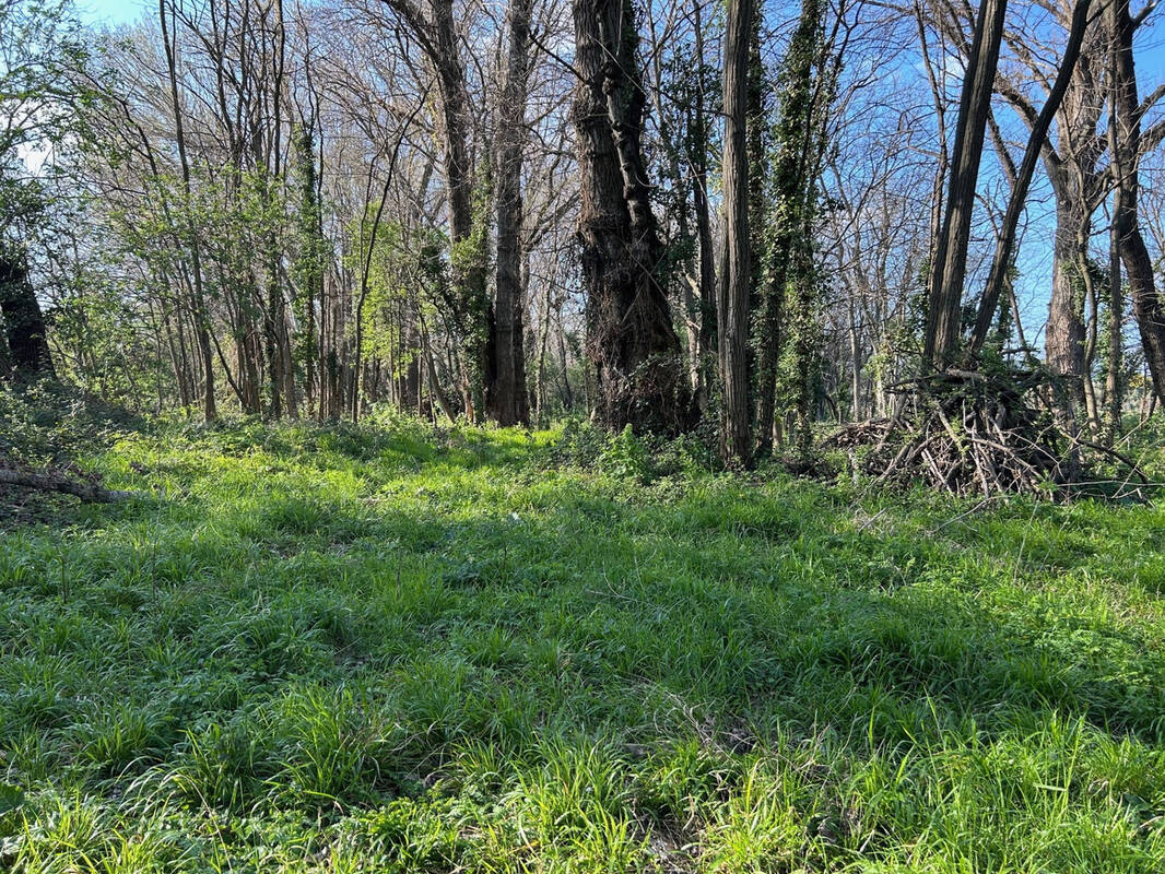 Terrain à TRESQUES
