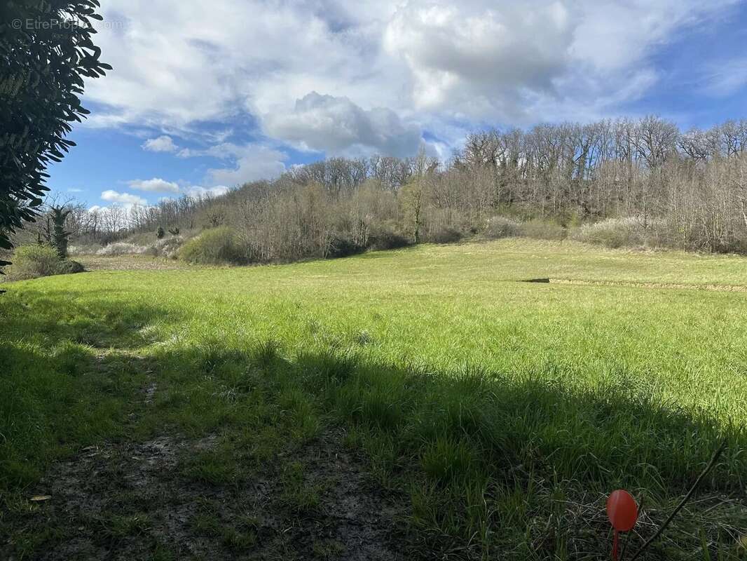 Terrain à SAINT-AUBIN-DE-CADELECH