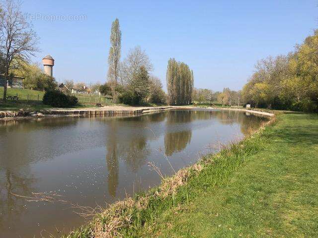 Terrain à BRINON-SUR-SAULDRE