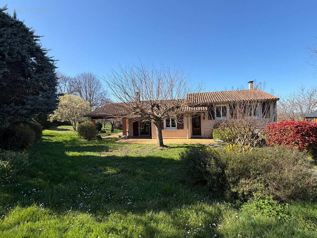 Maison à AIGUEFONDE