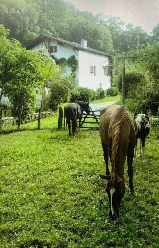 Maison à CAMBO-LES-BAINS