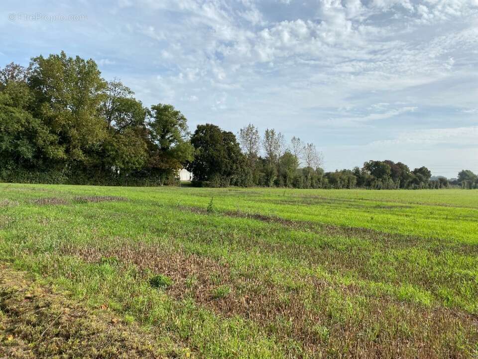 Terrain à NEUVILLE-SAINT-VAAST