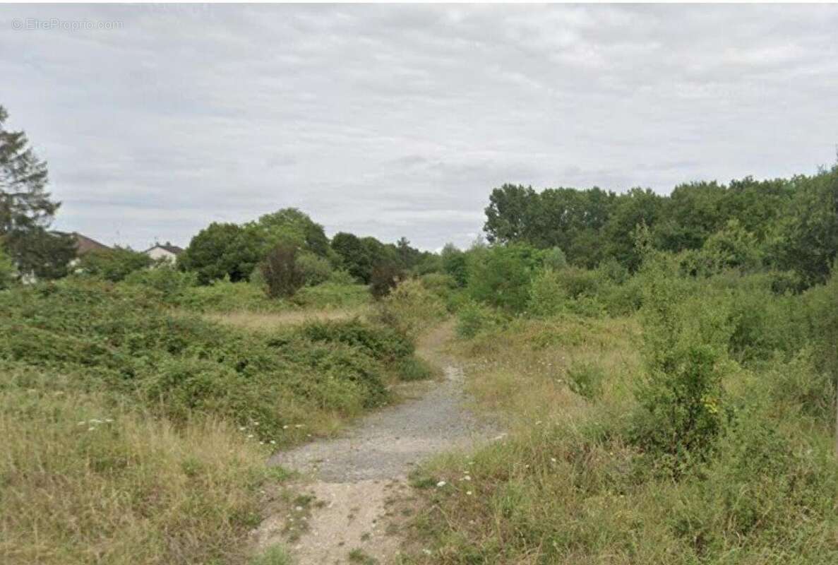 Photo 2 - Terrain à VIERZON
