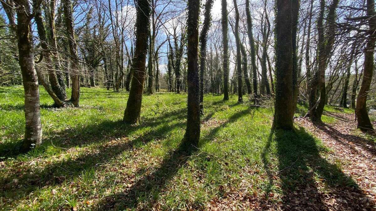 Photo 8 - Maison à PLUVIGNER