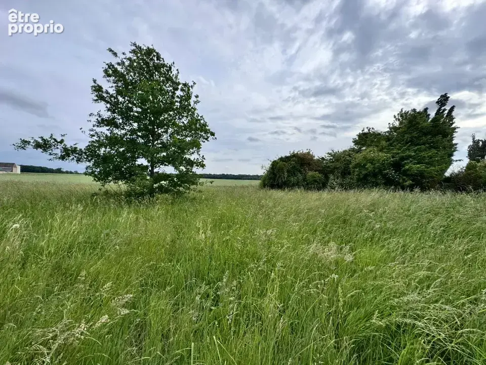 Terrain à MOUETTES