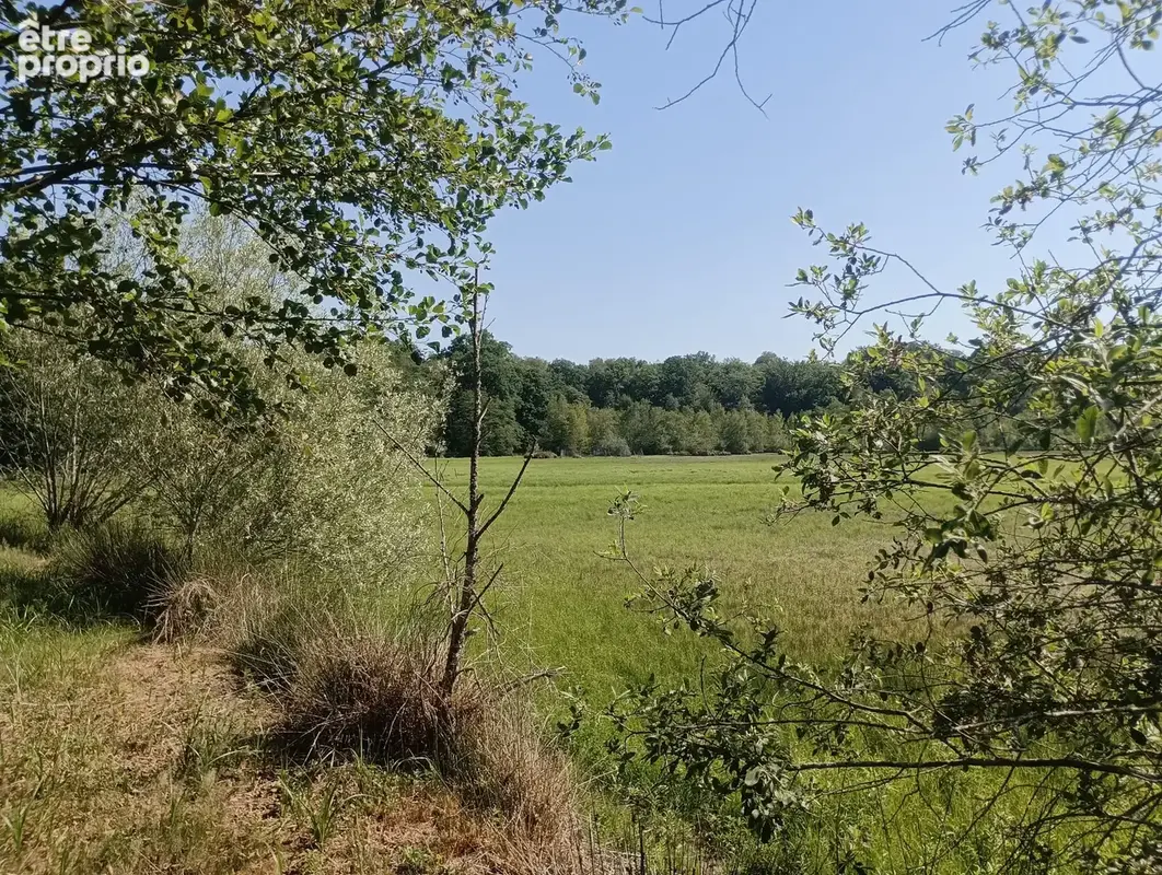 Vente étang de 11 ha environ sur terrain de 14 ha environ AILLONCOURT (70) - photo 3