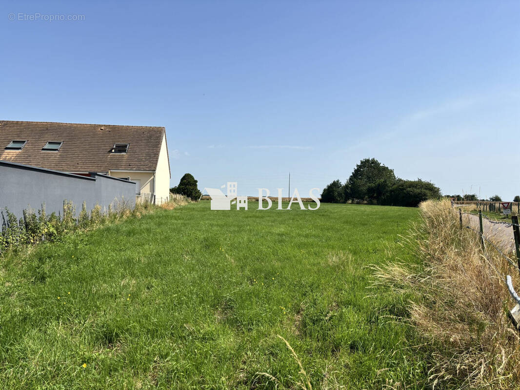 Terrain à AMFREVILLE-LA-CAMPAGNE