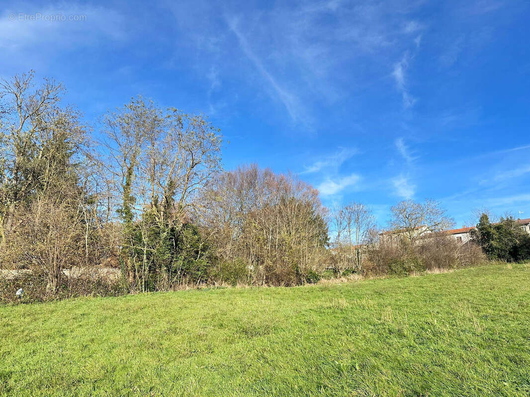 Terrain 5503 m² à Neulise  - photo 3