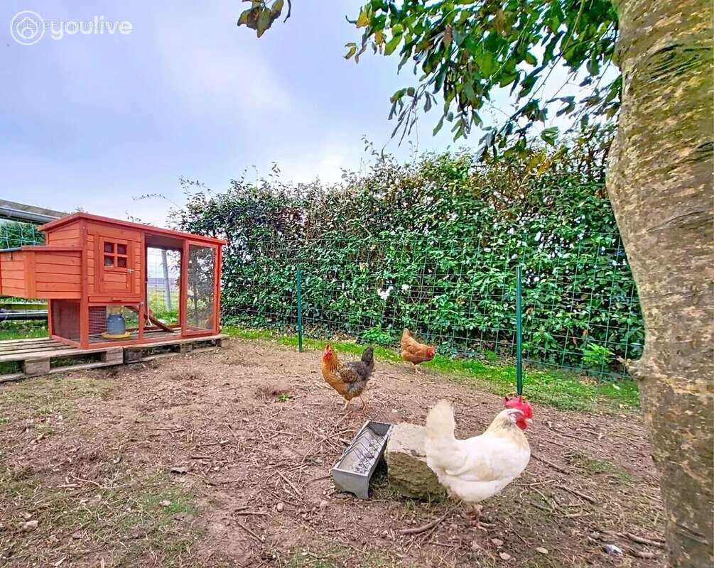 Maison à PLOUGUERNEAU