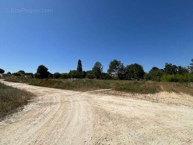 Terrain à bâtir de 412 m² à GEMOZAC (17) - photo 3