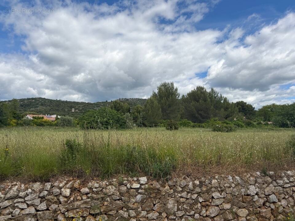Terrain à SAINT-JEAN-DE-FOS