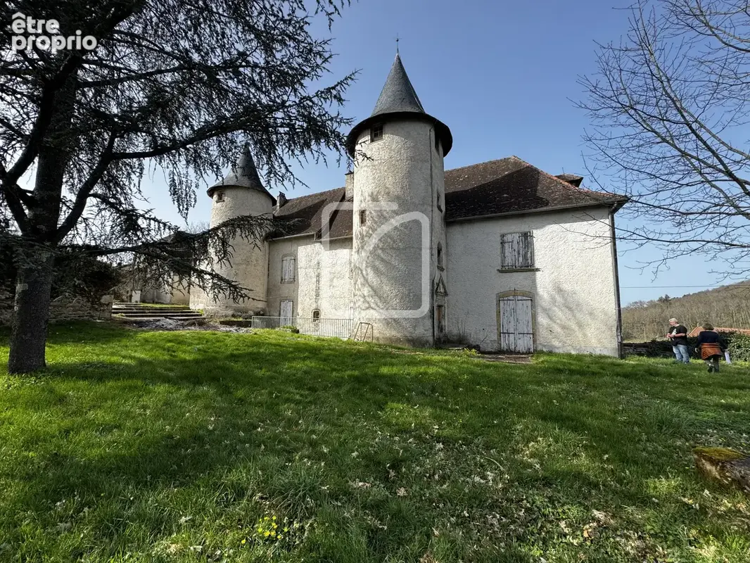 Château et son domaine _ Ensemble immobilier à fort potentiel - photo 3