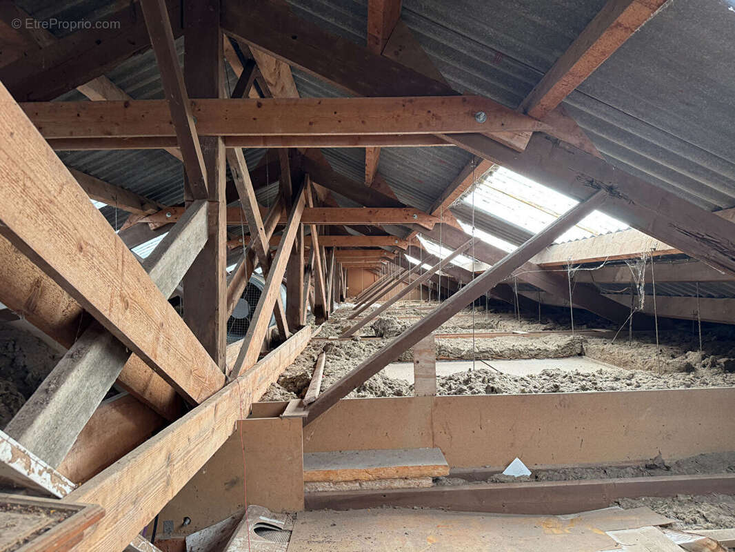 Commerce à CARENTAN