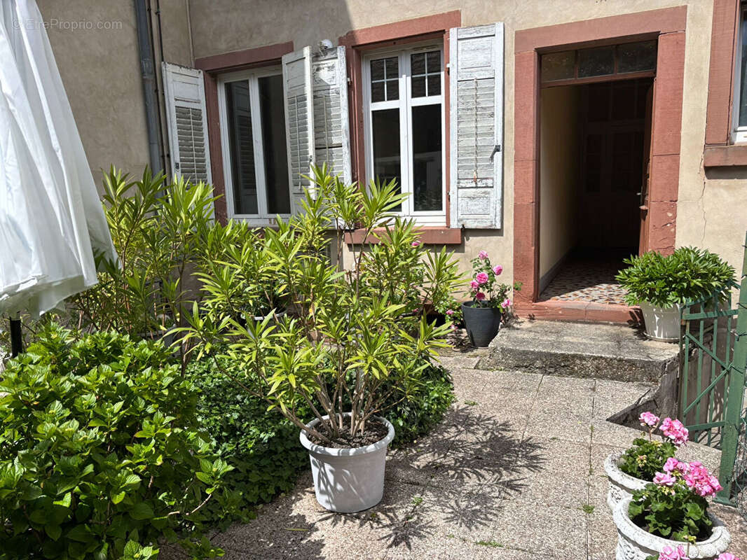 Appartement à WISSEMBOURG