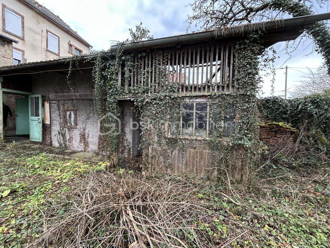 Local commercial et un appartement - photo 5