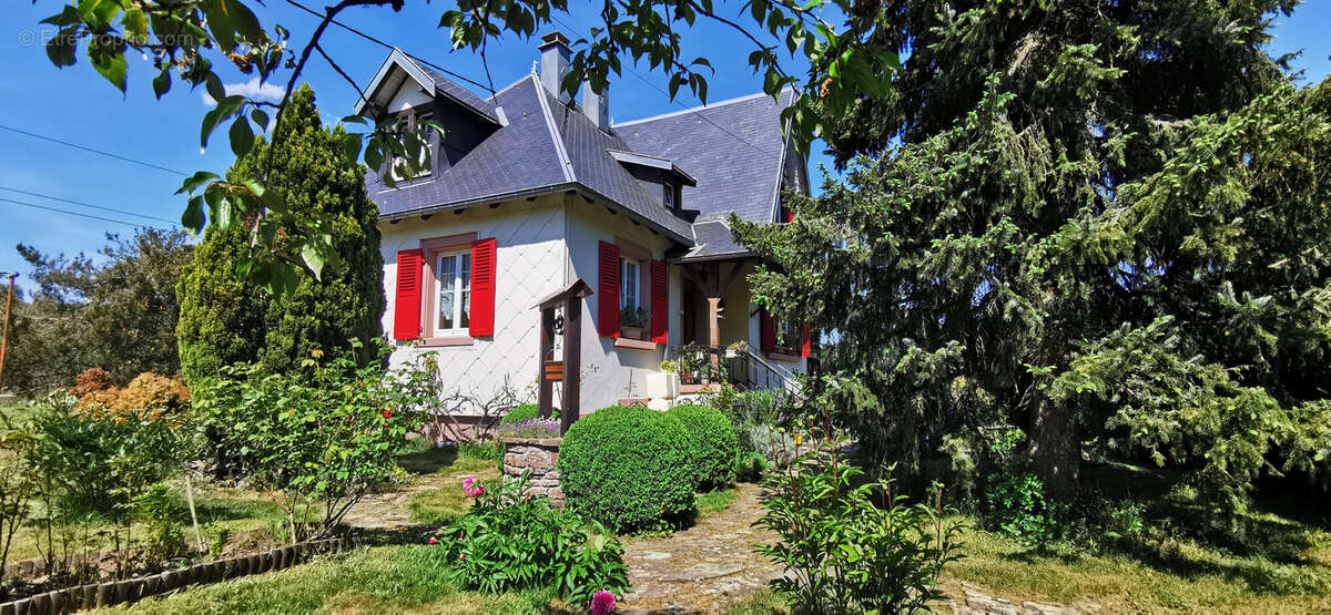 Colroy-La-Roche, maison de caractère des années 1930 sur un terrain de 26 ares - photo 34