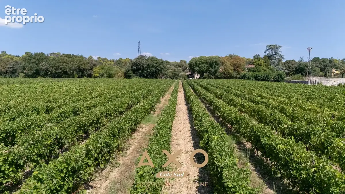 Asperes - domaine viticole - 60 hectares - 13 pieces - 875 m² - 3 900 000  - photo 19