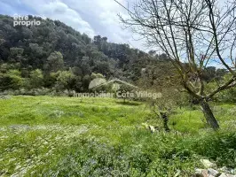 DRAP- Terrain de loisirs  1800m2 - photo 6