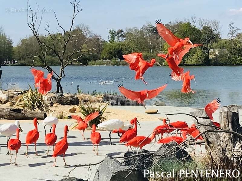Appartement à VILLARS-LES-DOMBES