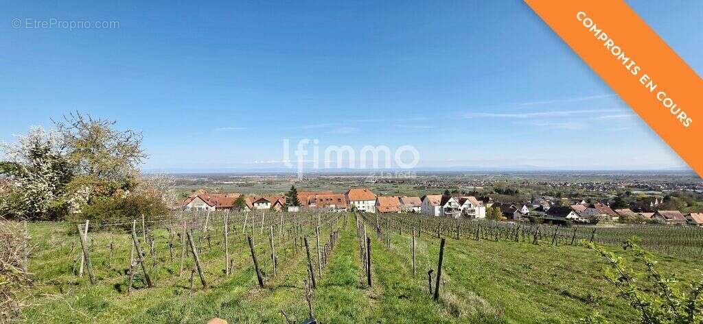 Maison à rénover à Heiligenstein – Vue vignes et fort potentiel - photo 12