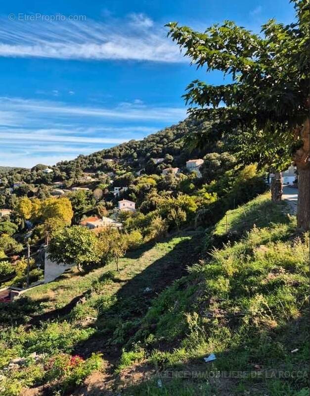 Terrain à SOLLACARO