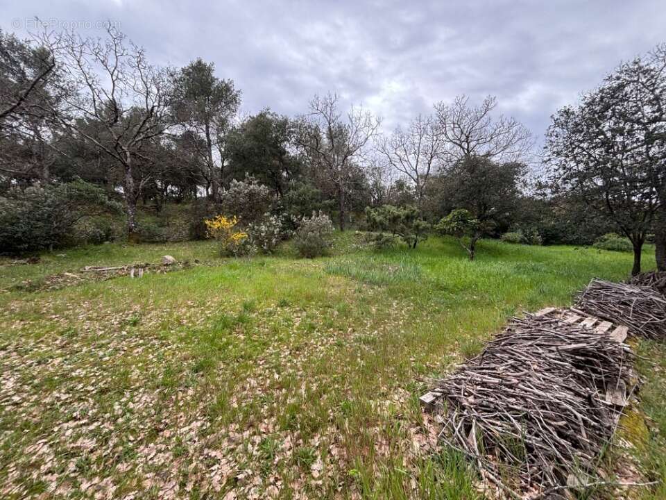 Terrain 609 m² à Carnoules  - photo 3