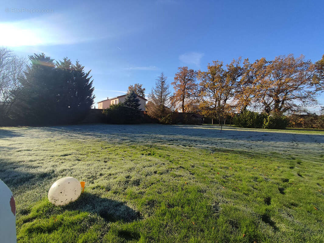 Terrain à VILLARS-LES-DOMBES