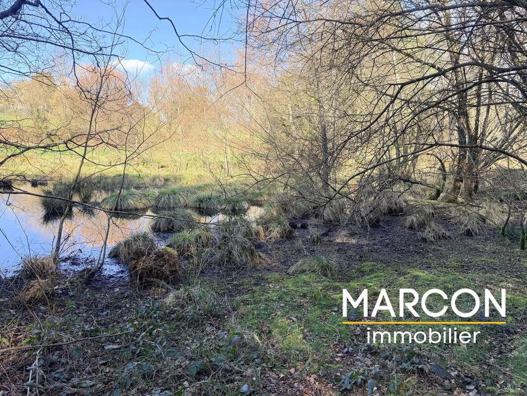 Terrain à AZAT-CHATENET