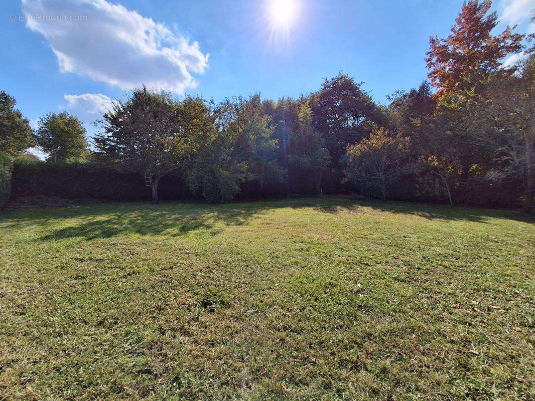 Terrain à NOUVOITOU