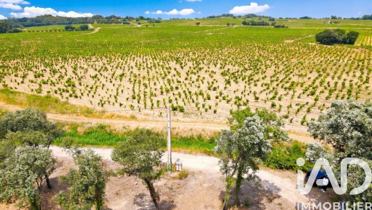 Photo 1 - Terrain à BEDARRIDES