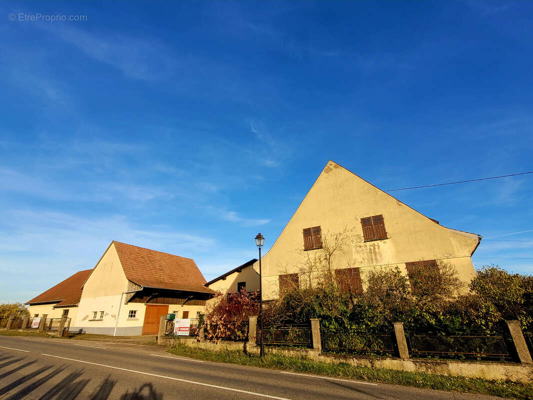 Maison à ZELLENBERG