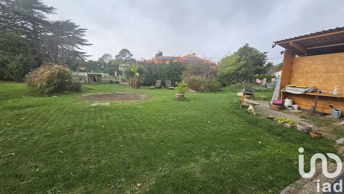 Photo 1 - Maison à MONTESQUIEU-VOLVESTRE