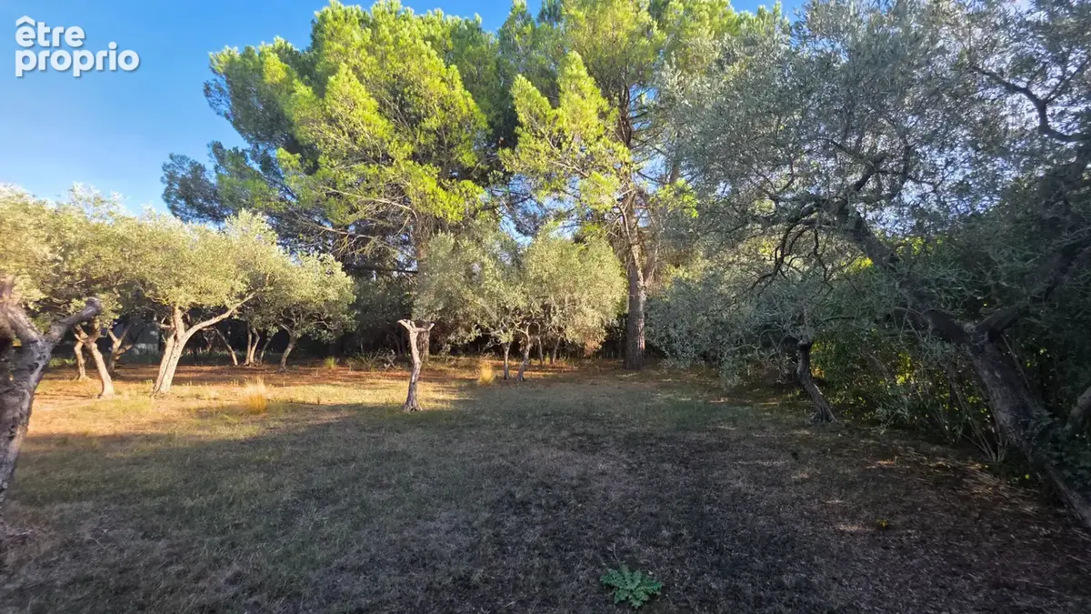 Superbe  villa individuelle de 150 m² traditionnelle sur 2260 m² de terrain clos - photo 12