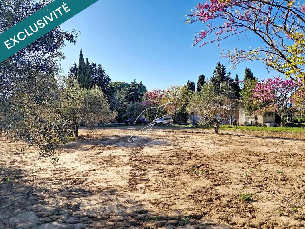 Photo 6 - Terrain à PUIMISSON