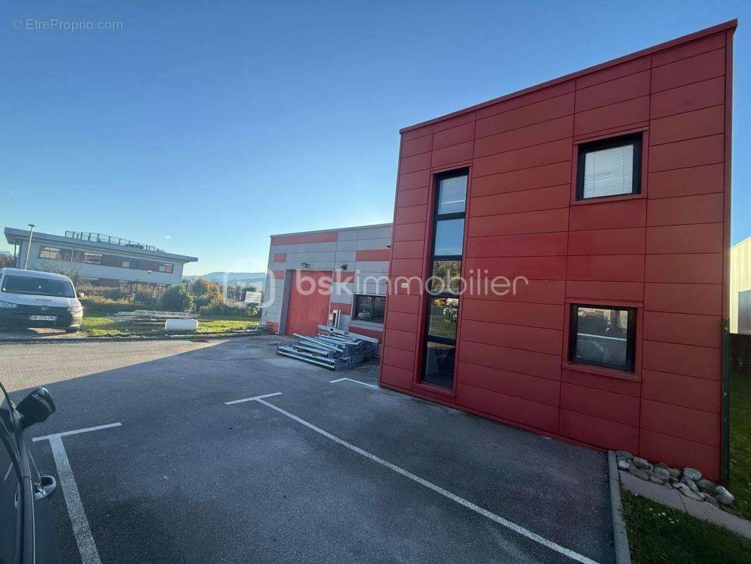 Commerce à SAINT-FELIX