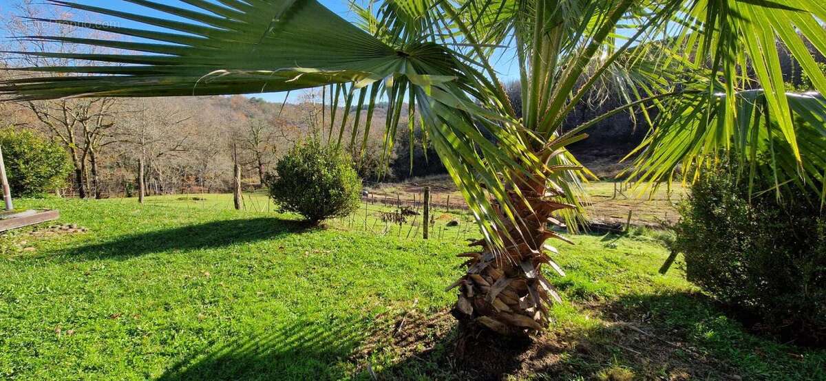 Maison en pierre proche du Bugue de 155 m2 - photo 14