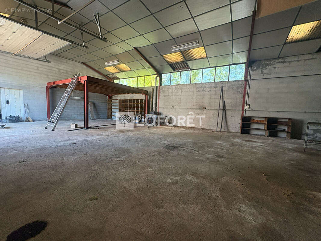 Maison Louhans 4 pièce(s) 120 m2 - photo 17