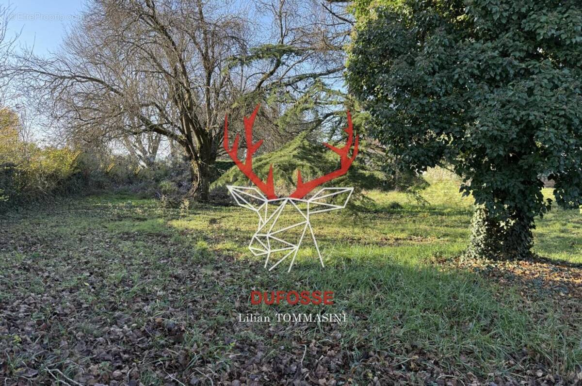 Photo 1 - Terrain à LA TOUR-DE-SALVAGNY