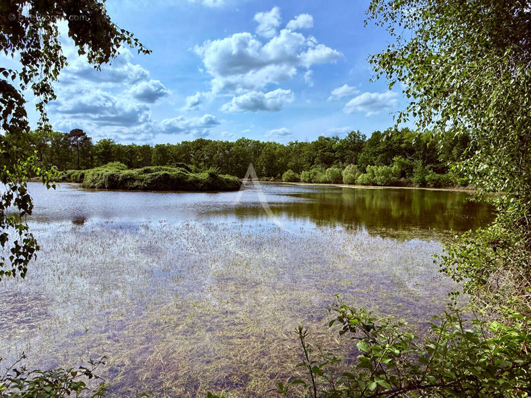 Terrain à ROMORANTIN-LANTHENAY