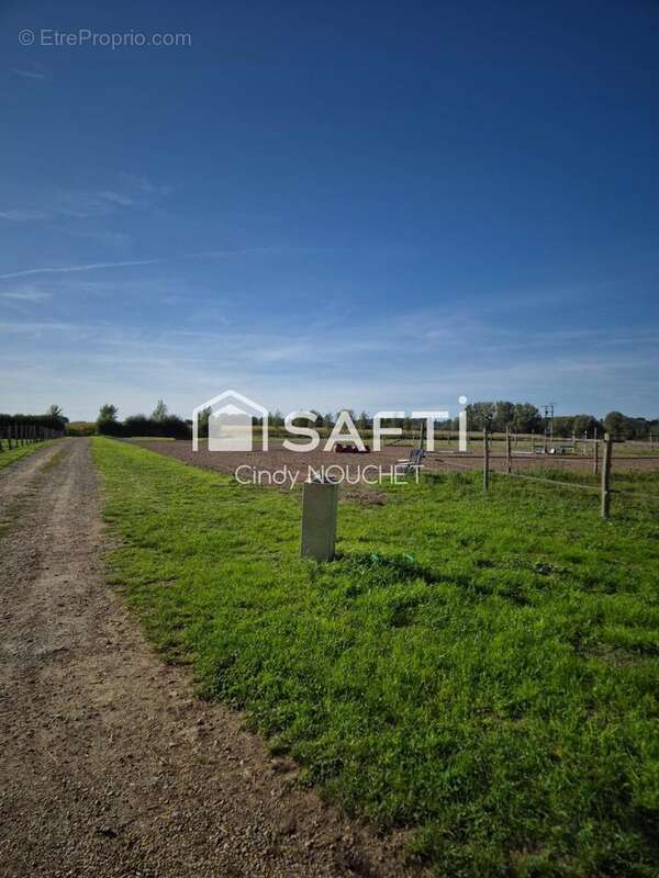 Photo 9 - Maison à LUCHE-PRINGE