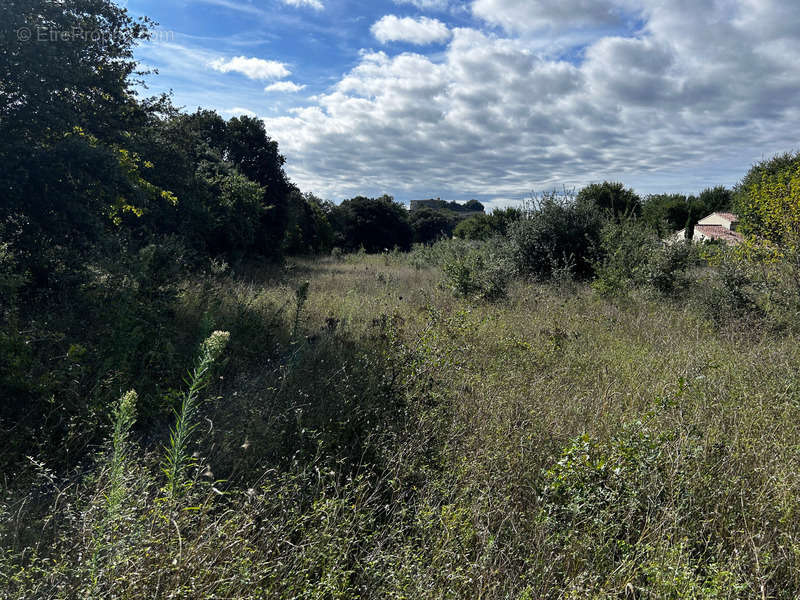 Terrain à GRIGNAN