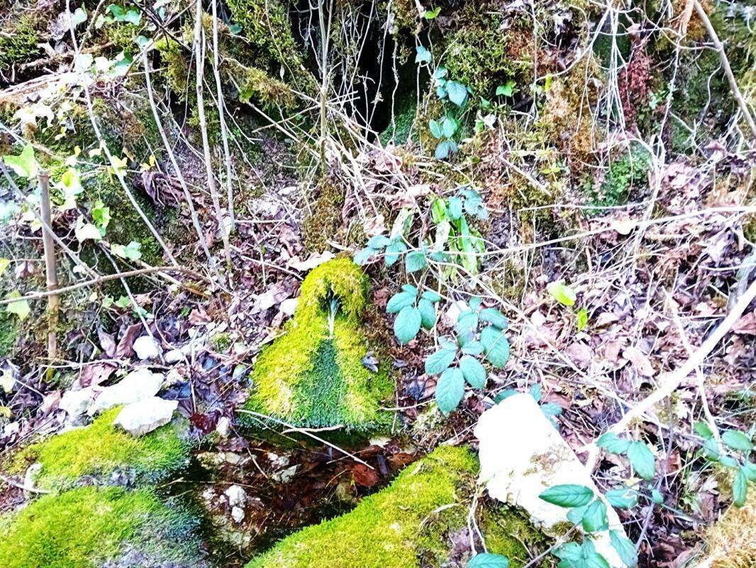 Maison à SAINT-CIRQ-LAPOPIE