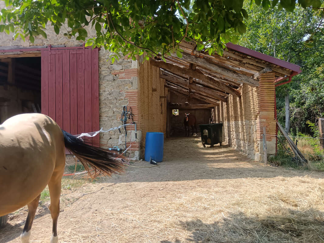 A 300m du gr 65 ensemble immobilier sur durfort lacapelette - photo 14