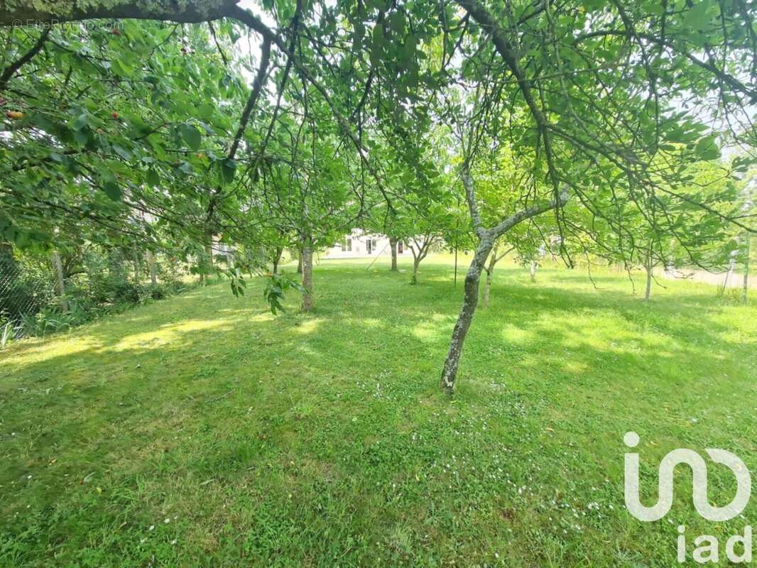 Photo 4 - Maison à GIEN