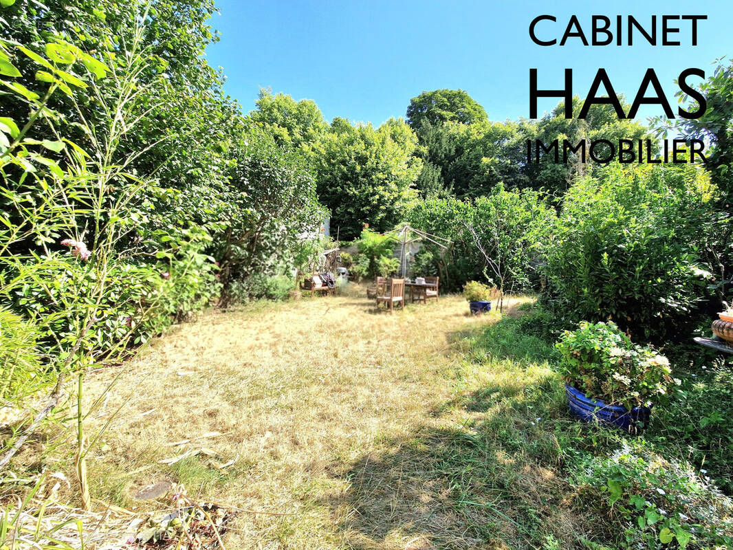 Jardin - Appartement à BOISSY-SAINT-LEGER