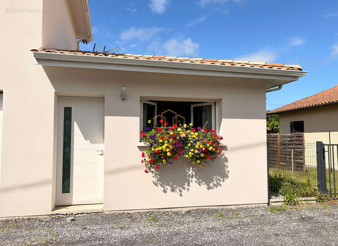 Appartement à AUDENGE