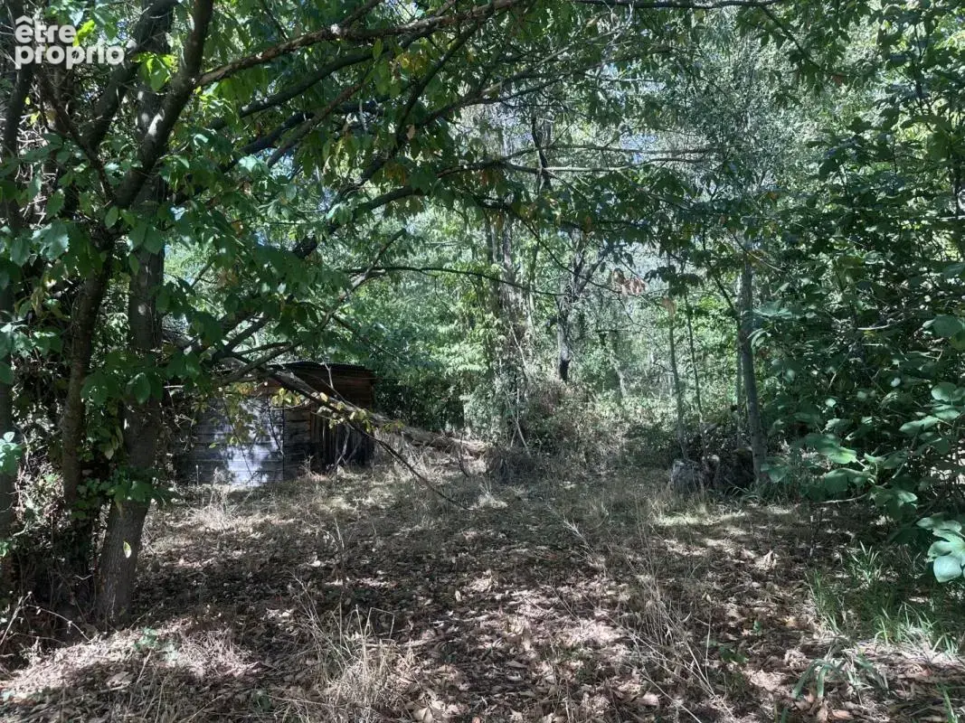 Terrain à MONTGAILLARD